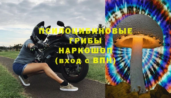 дмт Алексеевка