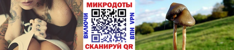 Псилоцибиновые грибы ЛСД Нижнеудинск