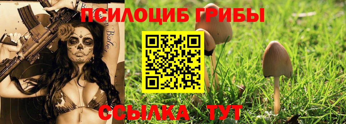 Псилоцибиновые грибы мухоморы Нижнеудинск