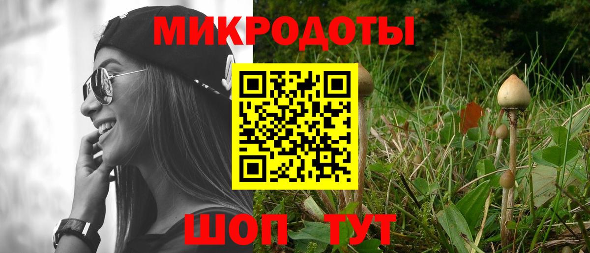 как найти закладки  Псилоцибиновые грибы Psilocybe  Вход с VPN  Нижнеудинск 